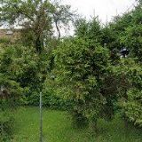 TOP PODLAHY-BAĎURA EVŽEN