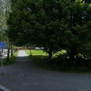 obrazek: avatar CODIGO DESIGN s.r.o.