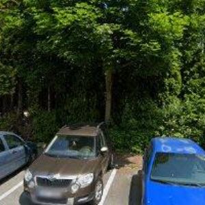 obrazek: avatar BUTTERFLY