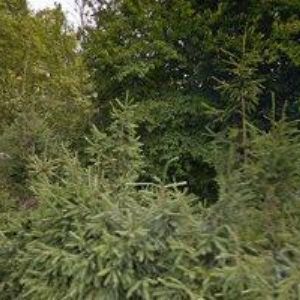 obrazek: avatar NABITO s.r.o.