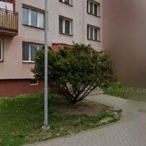 obrazek: avatar KALETA PETR