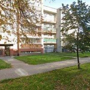 obrazek: avatar KOZÁK VOJTĚCH