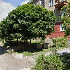 obrazek: avatar ČÁSLAVA PETR