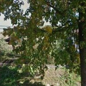 obrazek: avatar DESIGN BRANNY s.r.o.