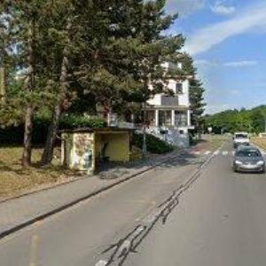 obrazek: avatar JIRUŠKOVÁ ZDEŇKA