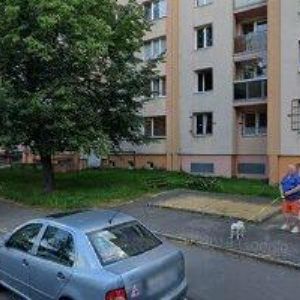 obrazek: avatar GOTTHARDOVÁ VLADISLAVA