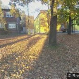 obrazek: avatar OPTIKA LENS