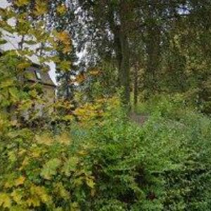 obrazek: avatar MONADEKORSCHOP