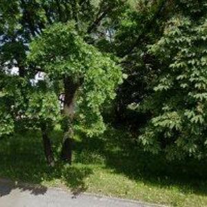 obrazek: avatar PRYMUS JAROSLAV-MIX