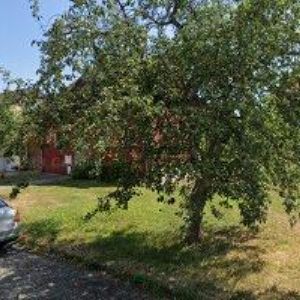 obrazek: avatar ROUS MIROSLAV Ing.