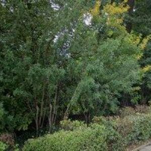 obrazek: avatar FS IMPORT-EXPORT s.r.o.