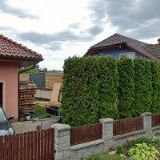 KRATOCHVIL RADOMÍR-FORFOX SOFTWARE