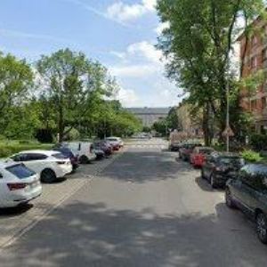 obrazek: avatar DORDA PETR