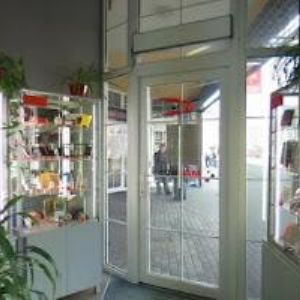 obrazek: avatar IMPACTO