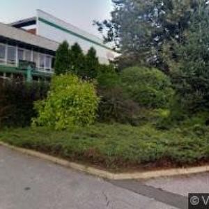 obrazek: avatar MOBILSALON