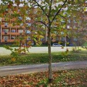 obrazek: avatar OLIVOVÝ OBCHOD s.r.o.