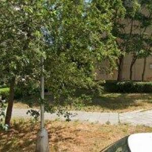 obrazek: avatar ŽÁK IVO Bc., DiS.