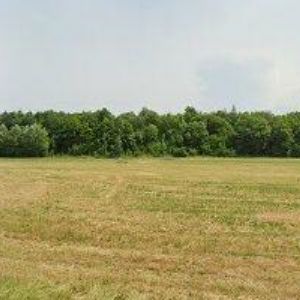 obrazek: avatar PATYSERVIS