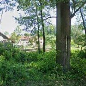 obrazek: avatar DŘEVO-UHLÍ J + S s.r.o.