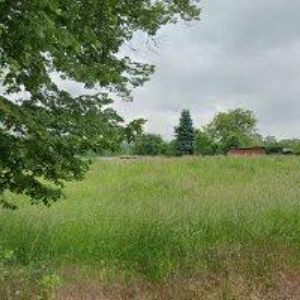 obrazek: avatar SZELIGA ROMAN