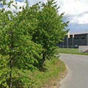 obrazek: avatar TECHNIMAX s.r.o.