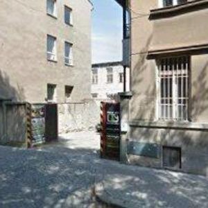 obrazek: avatar SEDLO MILAN-WHITE BEAR