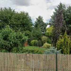 obrazek: avatar B.M.A.S. OPAVA s.r.o.