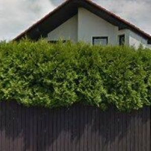 obrazek: avatar VIRTUAL GARAGE s.r.o.