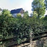 MYSLIVECKÉ HOSPODAŘENÍ s.r.o.