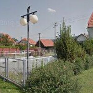 obrazek: avatar GAVONA