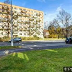 obrazek: avatar PALARČÍK TOMÁŠ-SKI SERVIS