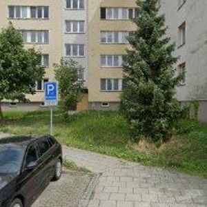 obrazek: avatar PADRTA DAVID Mgr.