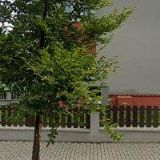 COMMIT, spol. s r.o.