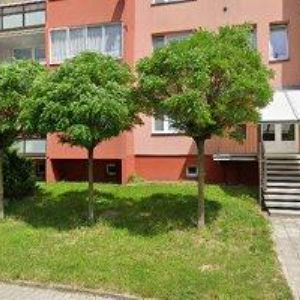 obrazek: avatar KRAUSOVÁ JANA