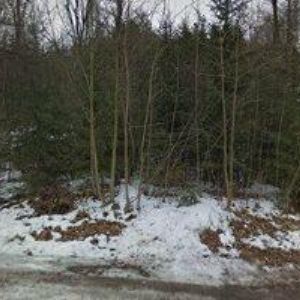 obrazek: avatar DUOFOX TECHNOLOGIES s.r.o.