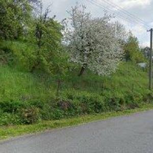 obrazek: avatar SITEPARK s.r.o.