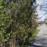 CHÝLEK LADISLAV Ing.