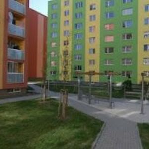 obrazek: avatar IT BEDNA.CZ