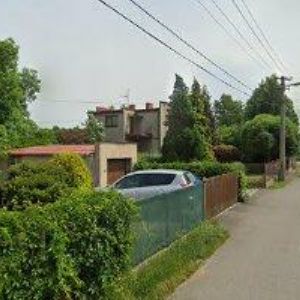 obrazek: avatar BUBIK LIBOR