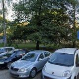 PERTLÍK SOFTWARE s.r.o.