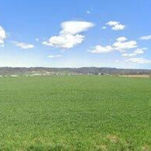 obrazek: avatar OBKLADY KRÁL