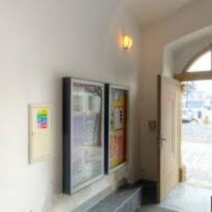 obrazek: avatar ELASKO