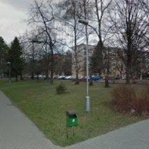 obrazek: avatar HAVELKOVÁ PETRA