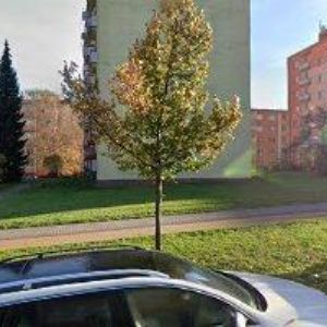 obrazek: avatar DP WEBDESIGN