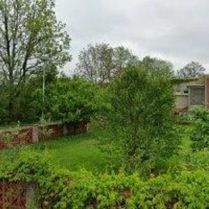 obrazek: avatar GLUMBÍK ADAM