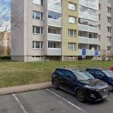 BRŮNOVÁ ZELNÍČKOVÁ ALICE