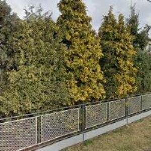 obrazek: avatar KAČMAŘ ONDŘEJ Ing.