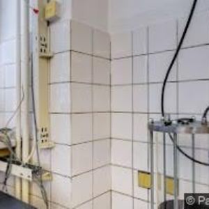 obrazek: avatar HERRMANN JAKUB