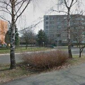 obrazek: avatar ADAMOVSKÝ ROSTISLAV