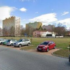 obrazek: avatar VLK RADOVAN